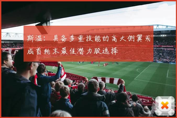斯温：具备多重技能的高大侧翼或成首轮末最佳潜力股选择